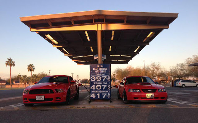 mustangs