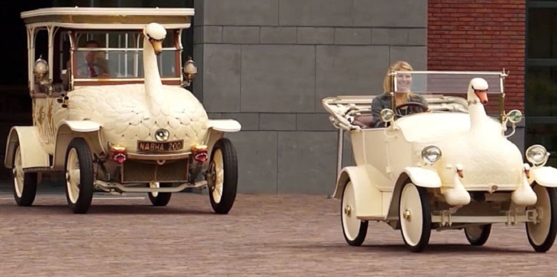 swan-and-cygnet-swan